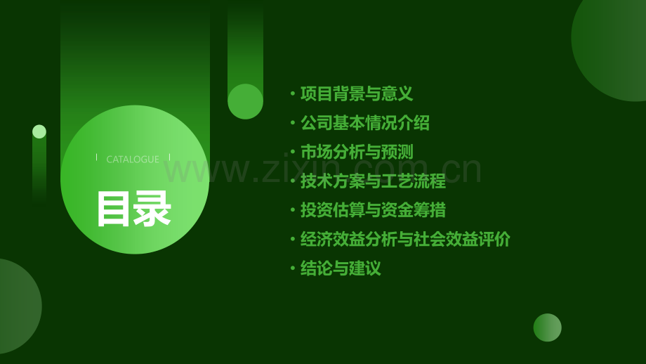 公司可行性研究报告.pptx_第2页