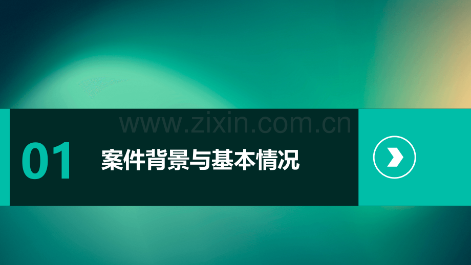 职务侵占案件情况分析报告.pptx_第3页