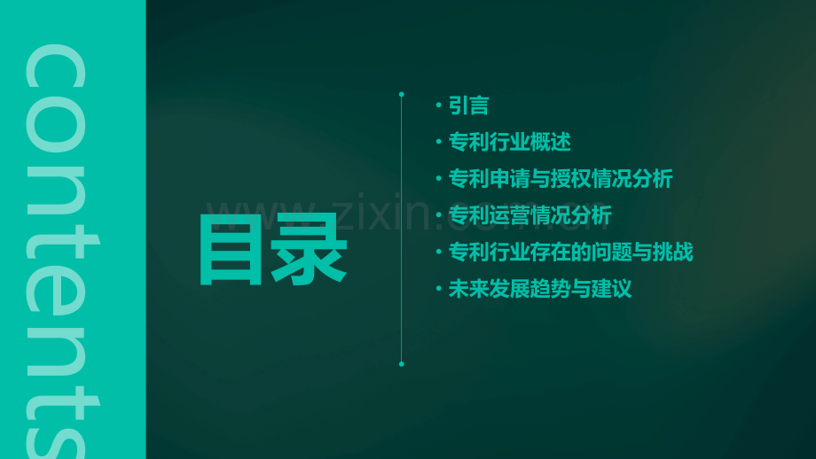 专利行业分析报告.pptx_第2页