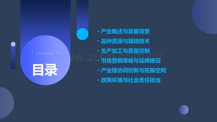 杨梅产业分析报告书.pptx_第2页