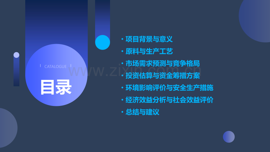 硝酸镍可行性报告.pptx_第2页