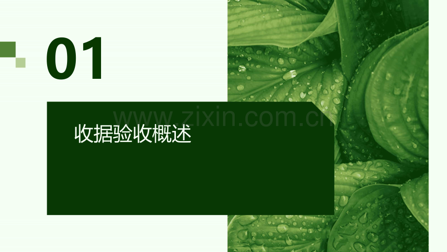 收据验收报告.pptx_第3页