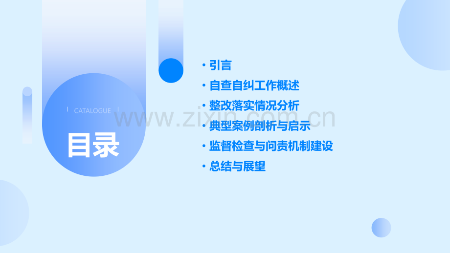 自查自纠整改情况报告.pptx_第2页