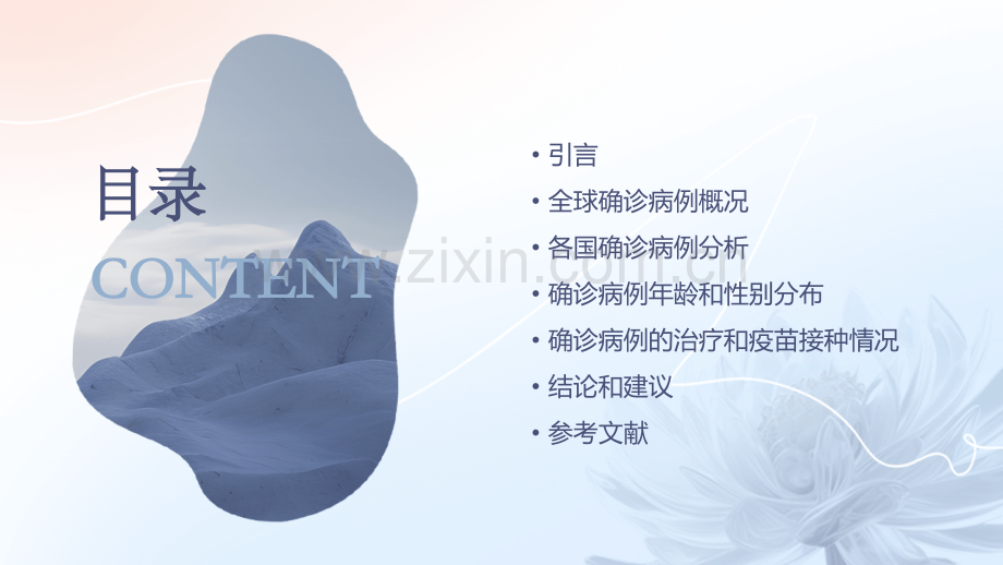 全球确诊病例报告.pptx_第2页