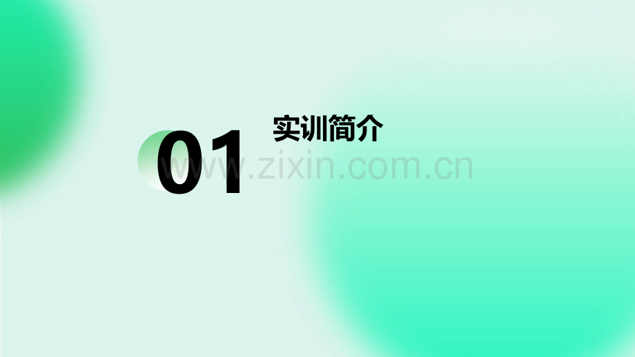 软件测试实训报告.pptx_第3页