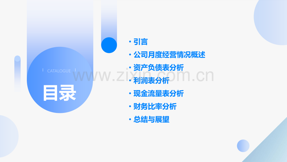 公司月度财务分析报告.pptx_第2页