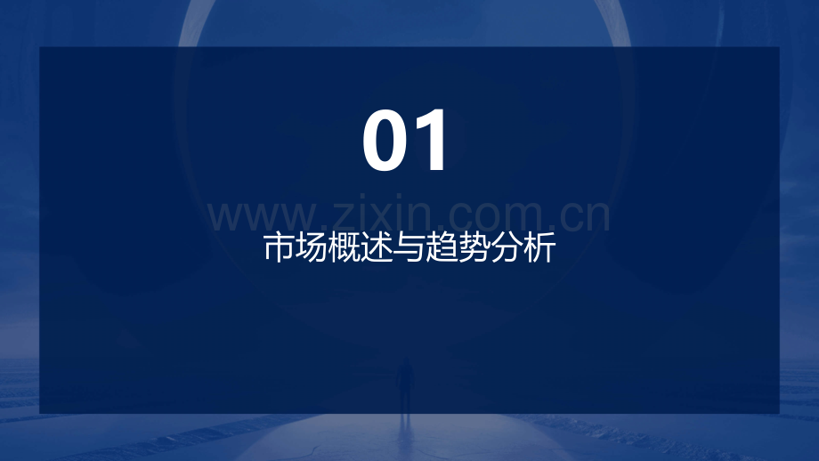 客户经理市场分析报告.pptx_第3页