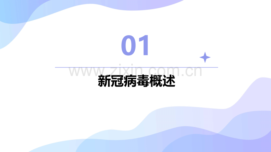 新冠病毒预防报告.pptx_第3页