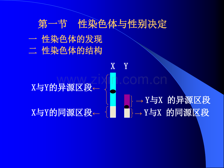 连锁遗传分析与染色体作图---PowerPoint--Presentation.ppt_第2页