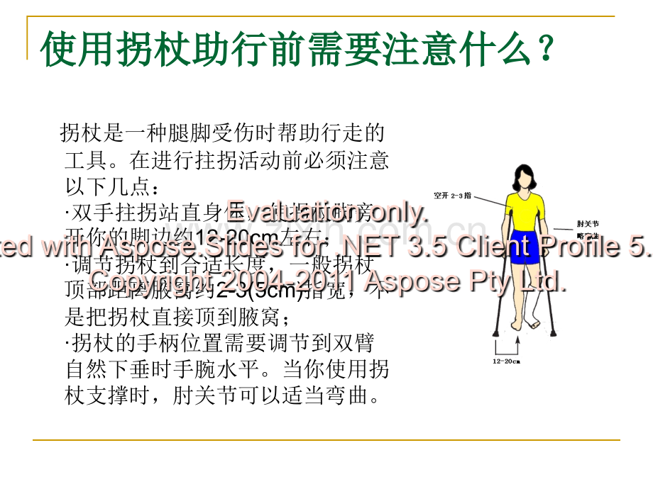 拐杖的正确使用复习进程.ppt_第2页