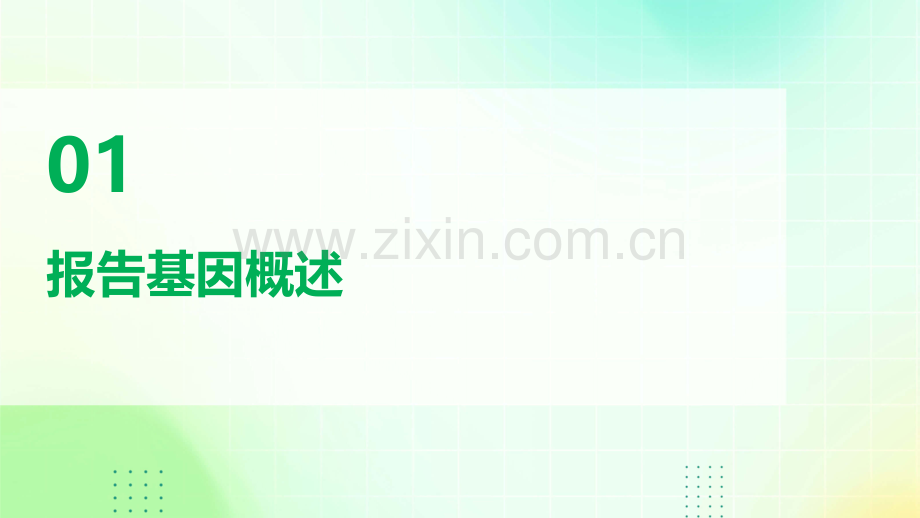 四种报告基因.pptx_第3页