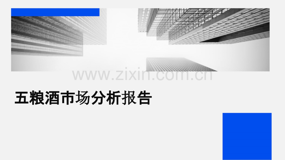 五粮酒市场分析报告.pptx_第1页