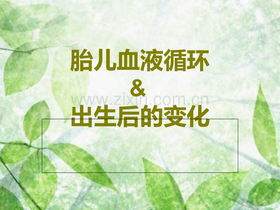 胎儿血液循环.ppt_第1页