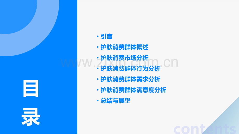 护肤消费群体分析报告.pptx_第2页