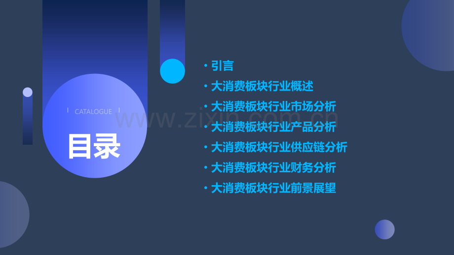 大消费板块行业分析报告.pptx_第2页