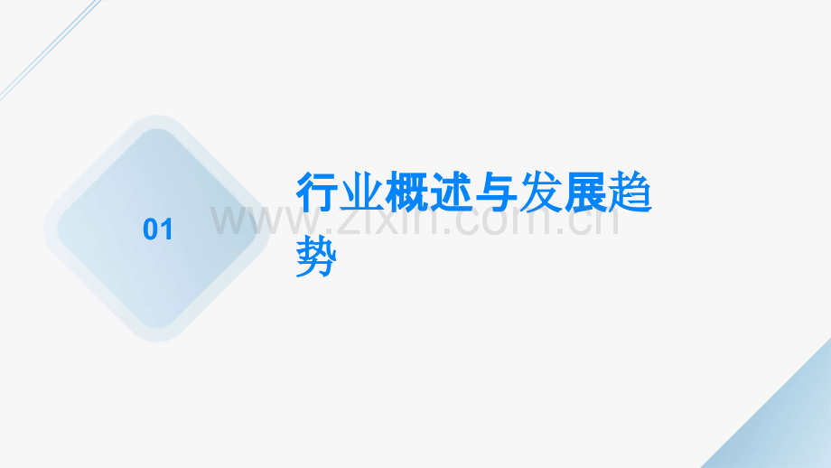 箱包行业数据分析报告.pptx_第3页