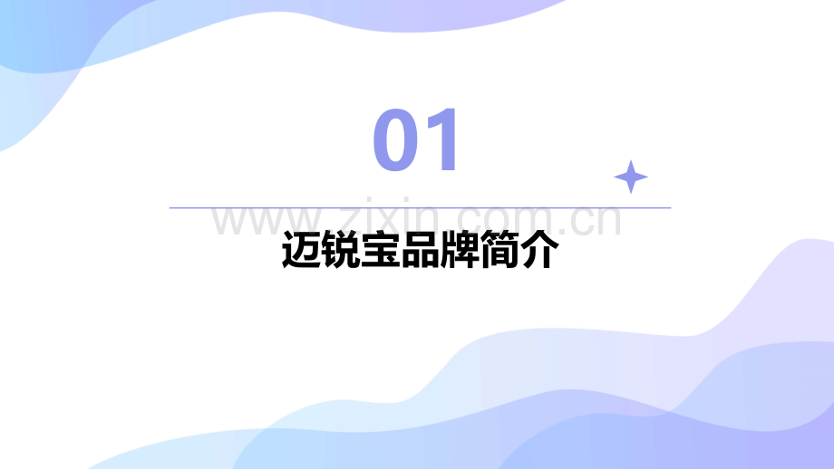 萝卜报告迈锐宝.pptx_第3页