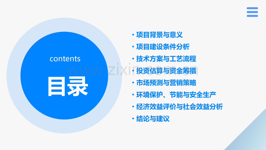 项目可行性研究报告.pptx_第2页