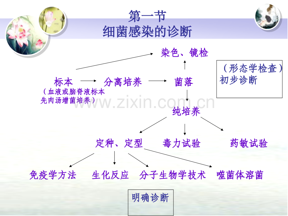 第8章细菌感染的检查方法与防治原则.ppt_第3页