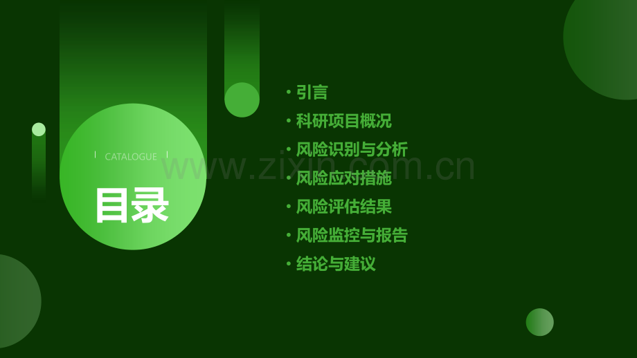 科研项目风险分析报告.pptx_第2页