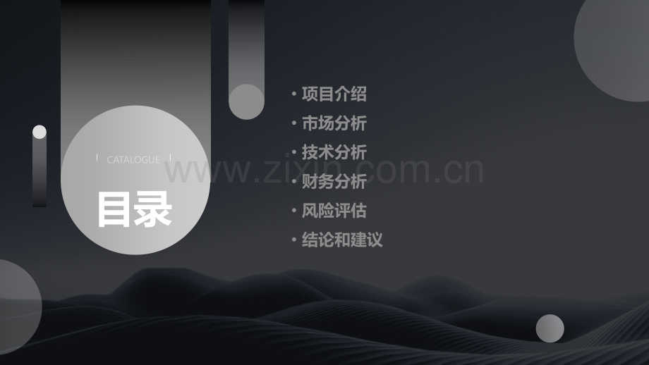 项目投资价值分析报告.pptx_第2页