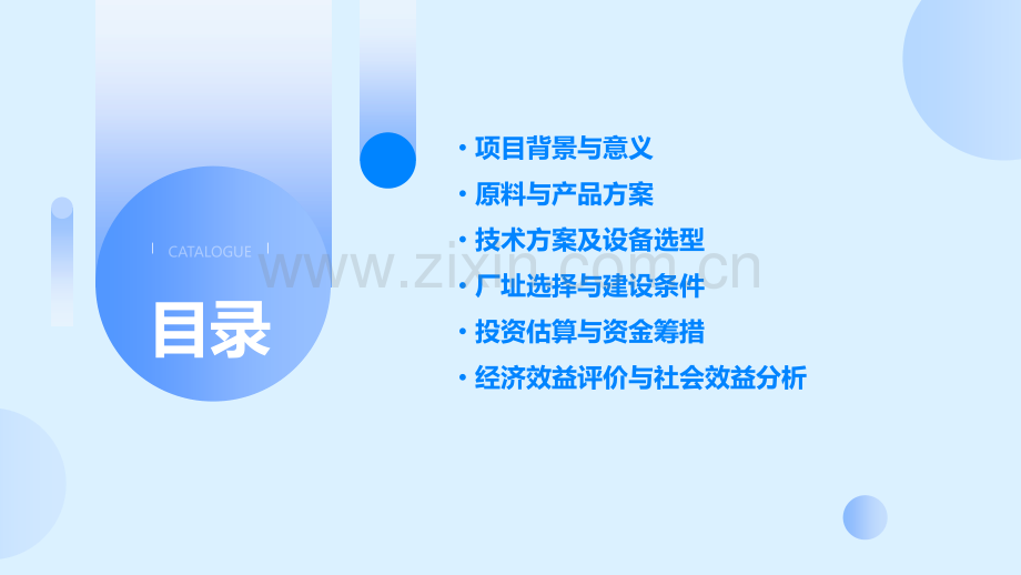 化工可行性研究报告.pptx_第2页