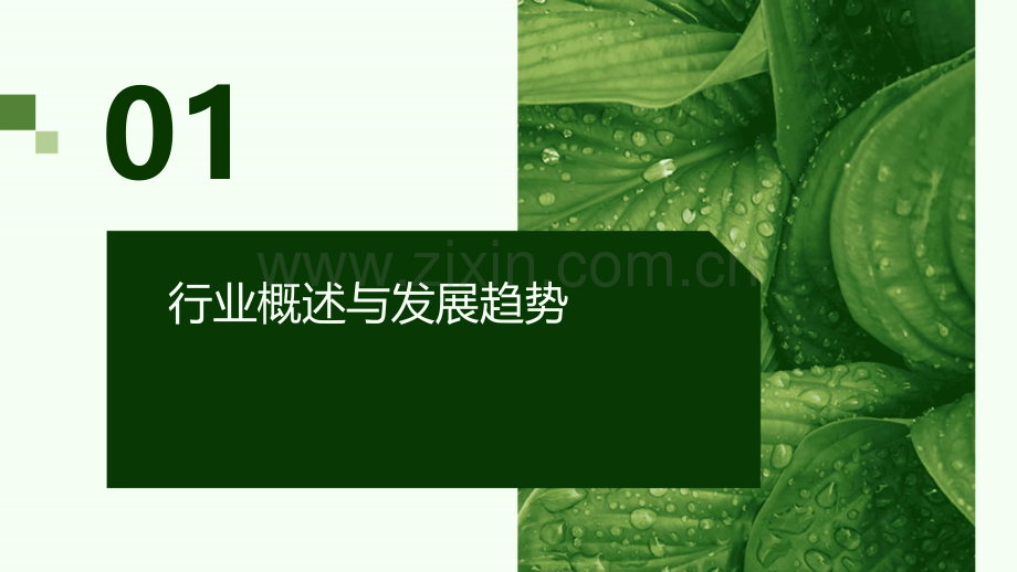 电子行业行业分析报告.pptx_第3页