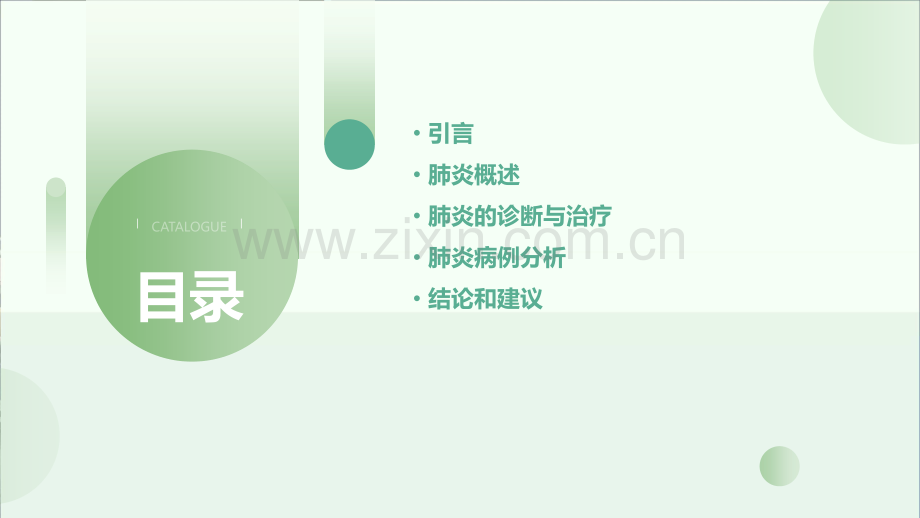 肺炎总结报告.pptx_第2页