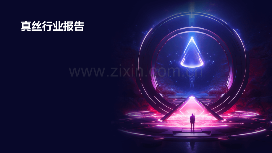 真丝行业报告.pptx_第1页