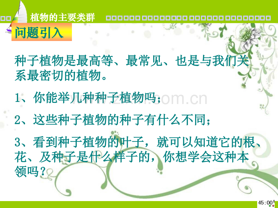 我的课件植物的主要类类群.ppt_第2页