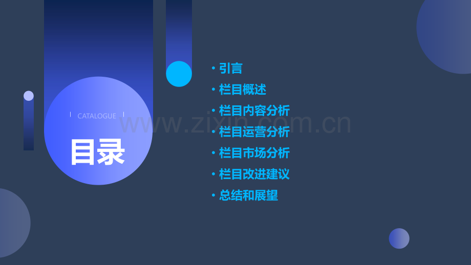 栏目分析报告.pptx_第2页