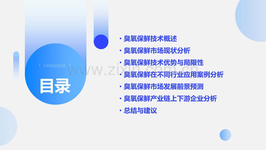 臭氧保鲜的行业分析报告.pptx_第2页