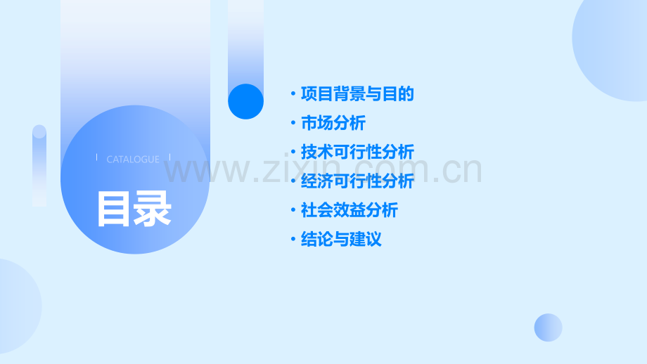 项目可行性分析报告案例.pptx_第2页