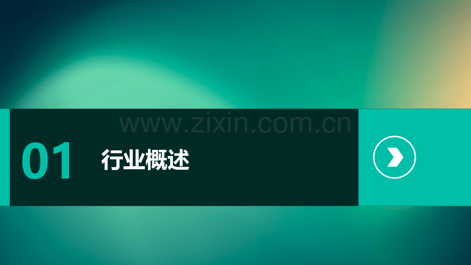 塑料防腐行业前景分析报告.pptx_第3页