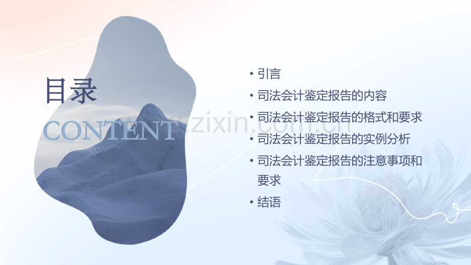 司法会计鉴定报告.pptx_第2页