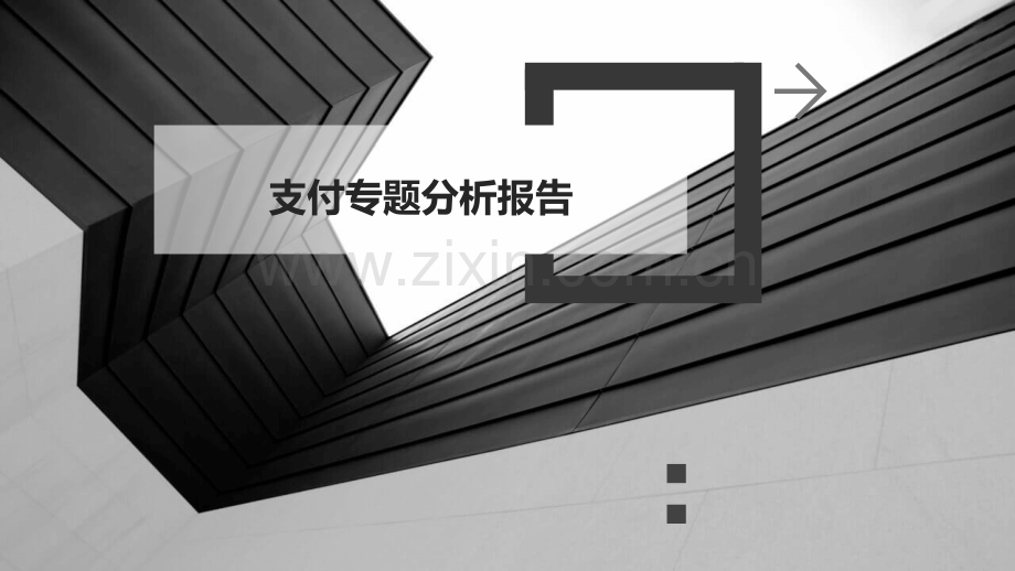 支付专题分析报告.pptx_第1页