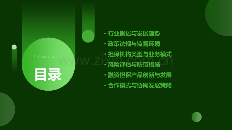 担保行业分析报告.pptx_第2页