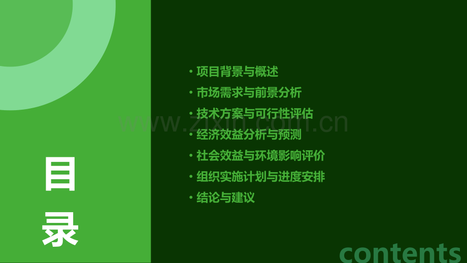 项目立项可行性报告.pptx_第2页