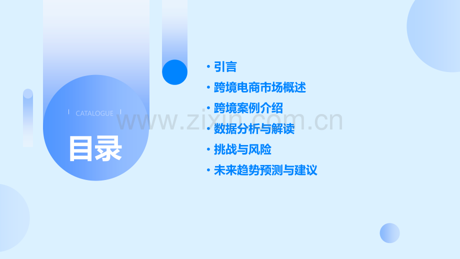 跨境案例及数据分析报告.pptx_第2页