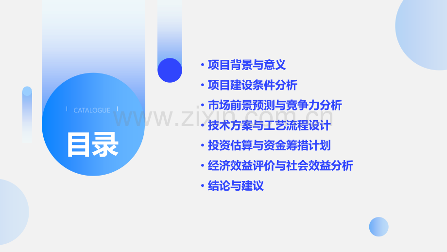 申请可行性研究报告.pptx_第2页