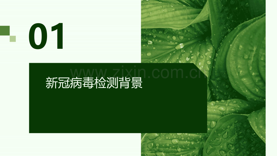 新冠阴性报告.pptx_第3页