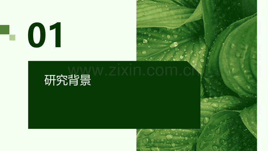 开题报告的研究基础.pptx_第3页