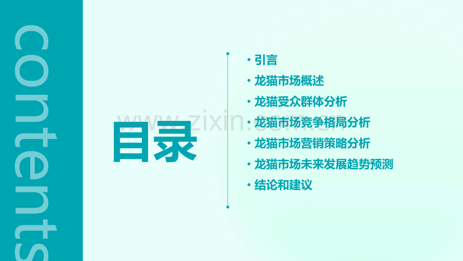 龙猫市场受众分析报告.pptx_第2页