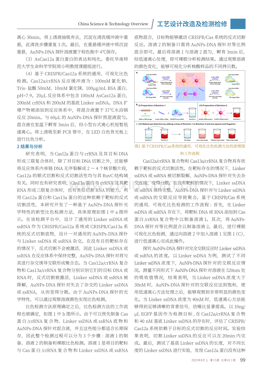 基于CRISPR_Cas12a系统的比色检测方法探究.pdf_第2页