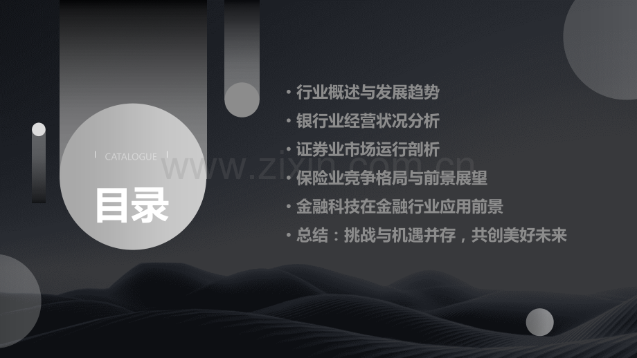 金融行业的分析报告.pptx_第2页