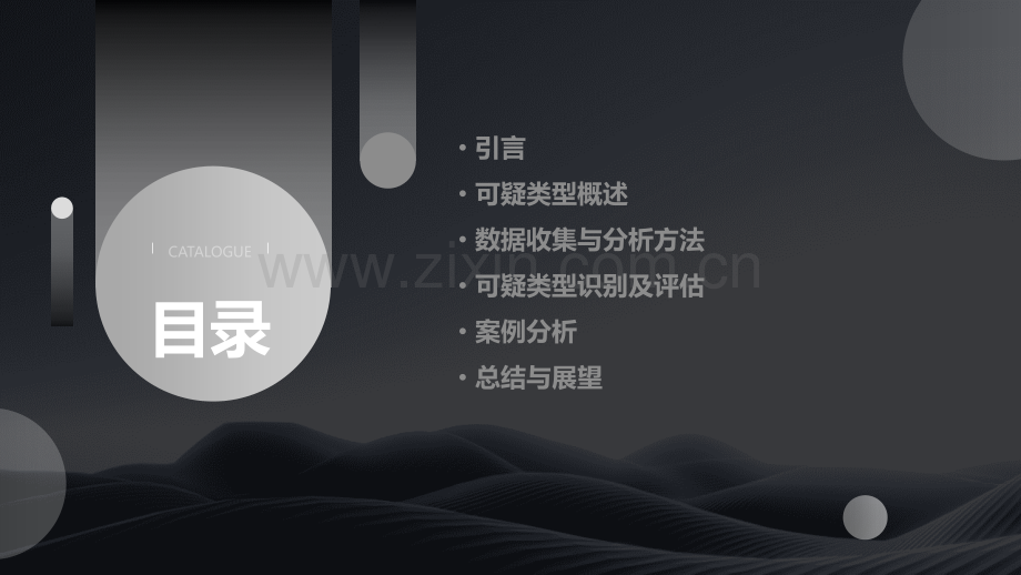 可疑类型分析报告.pptx_第2页