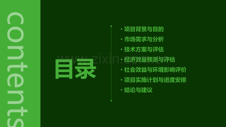 项目可行性的研究报告.pptx_第2页