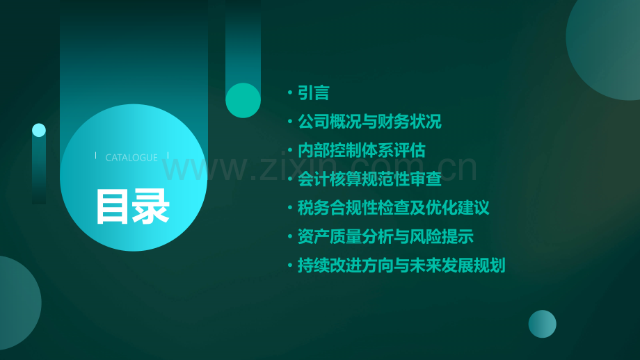 公司财务审计报告.pptx_第2页