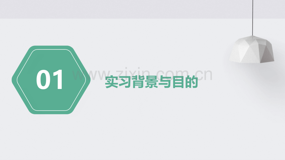 科技公司实习报告总结.pptx_第3页