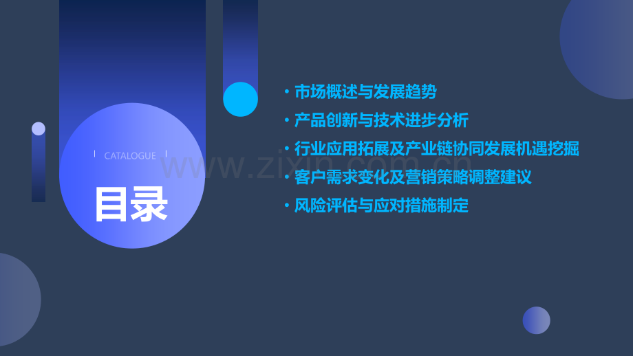 市场预测报告.pptx_第2页